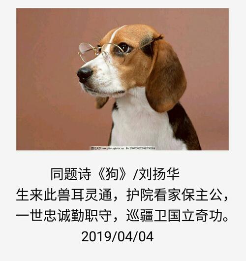汉寿40天天气预报（汉寿40天天气预报）-第8张图片-文史