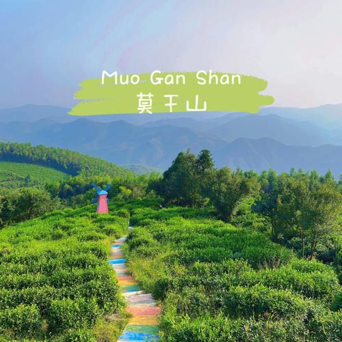 浙江莫干山自由行攻略（莫干山一日游最佳游玩路线）-第8张图片-文史