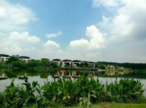 东莞松山湖公园景点,东莞松山湖公园景点有哪些-第4张图片-文史 东莞松山湖公园景点,东莞松山湖公园景点有哪些-第4张图片-文史