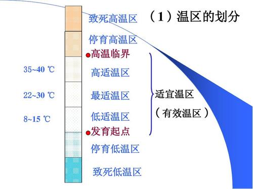 巴塞罗那八月天气(巴塞罗那天气预报 穿衣)-第4张图片-文史 巴塞罗那八月天气(巴塞罗那天气预报 穿衣)-第4张图片-文史