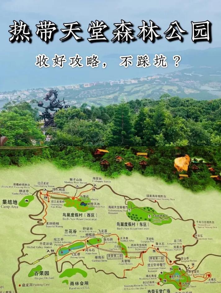 三亚热带森林公园,三亚热带天堂森林公园-第3张图片-文史 三亚热带森林公园,三亚热带天堂森林公园-第3张图片-文史