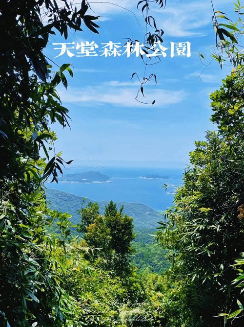 三亚热带森林公园,三亚热带天堂森林公园-第6张图片-文史 三亚热带森林公园,三亚热带天堂森林公园-第6张图片-文史