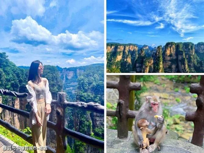 旅行社东莞(东莞哪个旅行社口碑好)-第3张图片-文史 旅行社东莞(东莞哪个旅行社口碑好)-第3张图片-文史