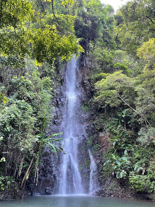 河源野趣沟（河源野趣沟漂流门票多少钱）