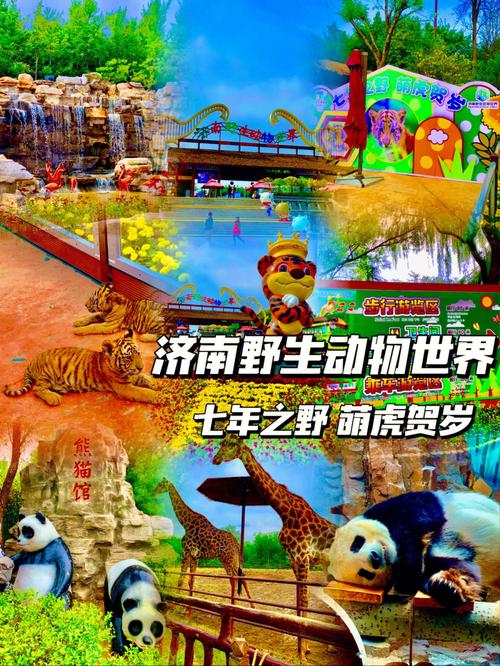 济南动物园和野生动物园哪个好,济南野生动物园优惠门票699-第4张图片-文史 济南动物园和野生动物园哪个好,济南野生动物园优惠门票699-第4张图片-文史