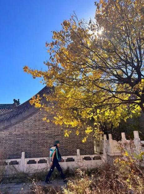 北京小众但是值得一去的地方(北京小众好玩儿的地方)-第5张图片-文史 北京小众但是值得一去的地方(北京小众好玩儿的地方)-第5张图片-文史