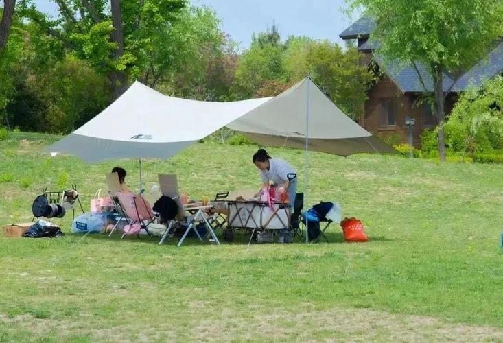 山东省临沂市天气,山东省临沂市天气预报15天查询结果电话-第3张图片-文史