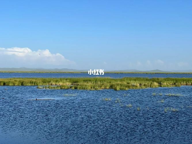 若尔盖花湖海拔(若尔盖花湖高反)-第2张图片-文史 若尔盖花湖海拔(若尔盖花湖高反)-第2张图片-文史