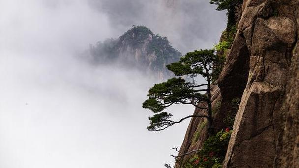 庐山在哪里属于哪个省（庐山在什么地方属于哪个市）