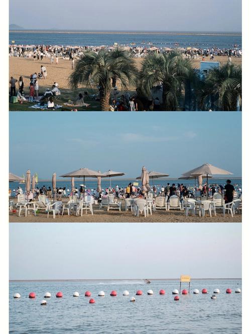 奉贤海滩要门票吗,奉贤海滩旅游景点门票多少钱-第2张图片-文史 奉贤海滩要门票吗,奉贤海滩旅游景点门票多少钱-第2张图片-文史