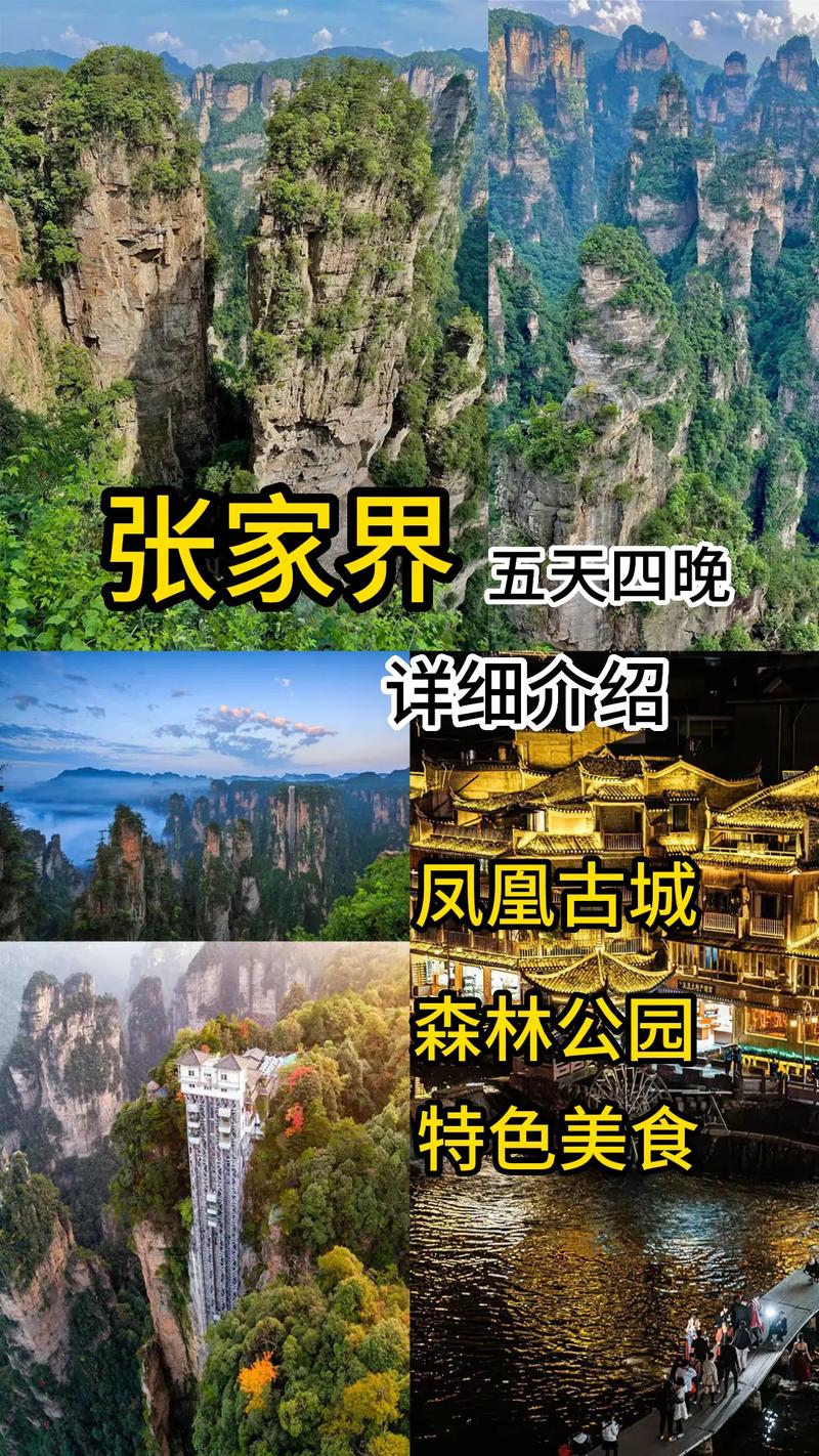 张家界一日游网,张家界一日游价钱-第2张图片-文史 张家界一日游网,张家界一日游价钱-第2张图片-文史