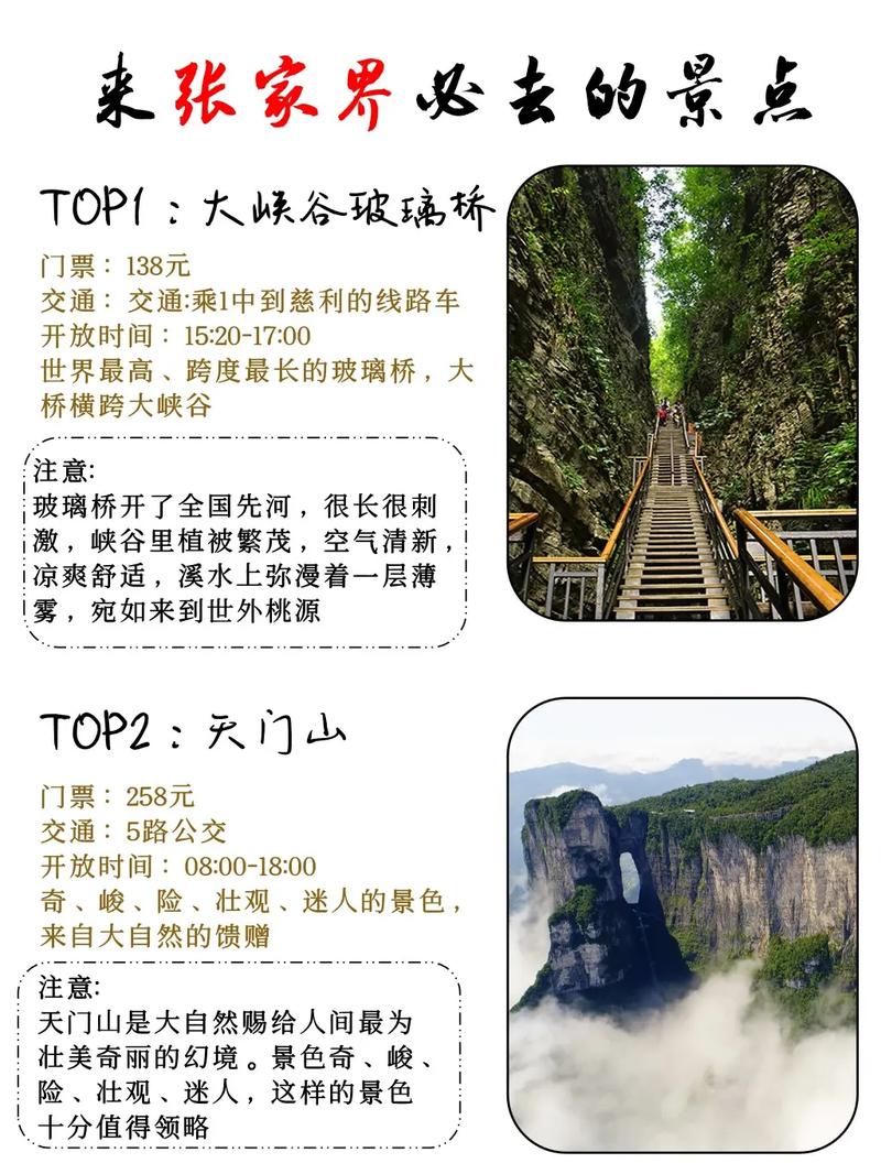 张家界一日游网,张家界一日游价钱-第6张图片-文史 张家界一日游网,张家界一日游价钱-第6张图片-文史