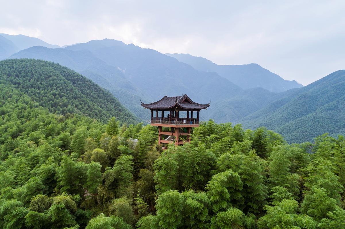湖州旅游景点大全(湖州旅游景点大全介绍一日游)-第6张图片-文史 湖州旅游景点大全(湖州旅游景点大全介绍一日游)-第6张图片-文史