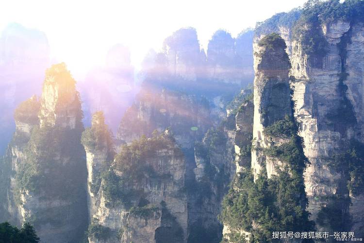 张家界天门山景区属于哪个街道(张家界天门山景区属于哪个街道办事处)-第7张图片-文史 张家界天门山景区属于哪个街道(张家界天门山景区属于哪个街道办事处)-第7张图片-文史