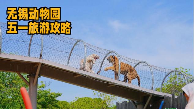 无锡动物园(无锡动物园门票多少钱)-第4张图片-文史 无锡动物园(无锡动物园门票多少钱)-第4张图片-文史