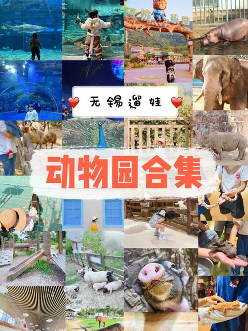 无锡动物园(无锡动物园门票多少钱)-第6张图片-文史 无锡动物园(无锡动物园门票多少钱)-第6张图片-文史