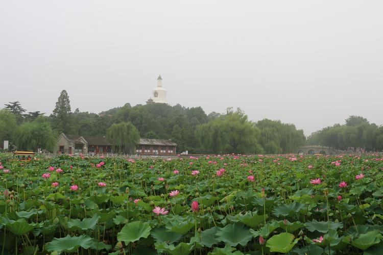 广西北海旅游景点（广西北海旅游景点分布图）