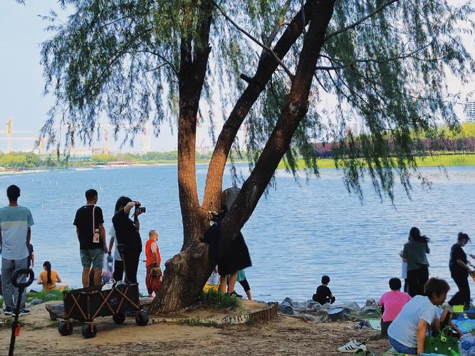 蚌埠龙子湖天气预报(蚌埠龙子湖天气预报查询)-第4张图片-文史 蚌埠龙子湖天气预报(蚌埠龙子湖天气预报查询)-第4张图片-文史