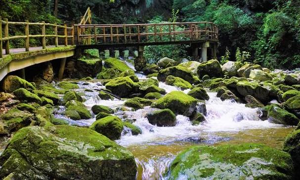 关山牧场景区电话号码（关山牧场订票电话）-第3张图片-文史