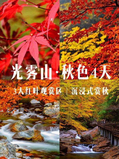 光雾山,光雾山风景区