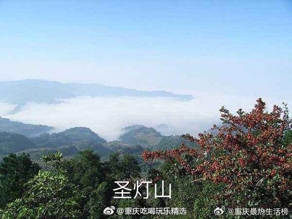 重庆一日游有哪些地方(重庆一日游有哪些地方)-第4张图片-文史 重庆一日游有哪些地方(重庆一日游有哪些地方)-第4张图片-文史