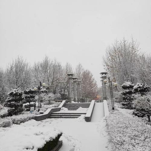 鸡泽天气预报40天,鸡泽天气实时