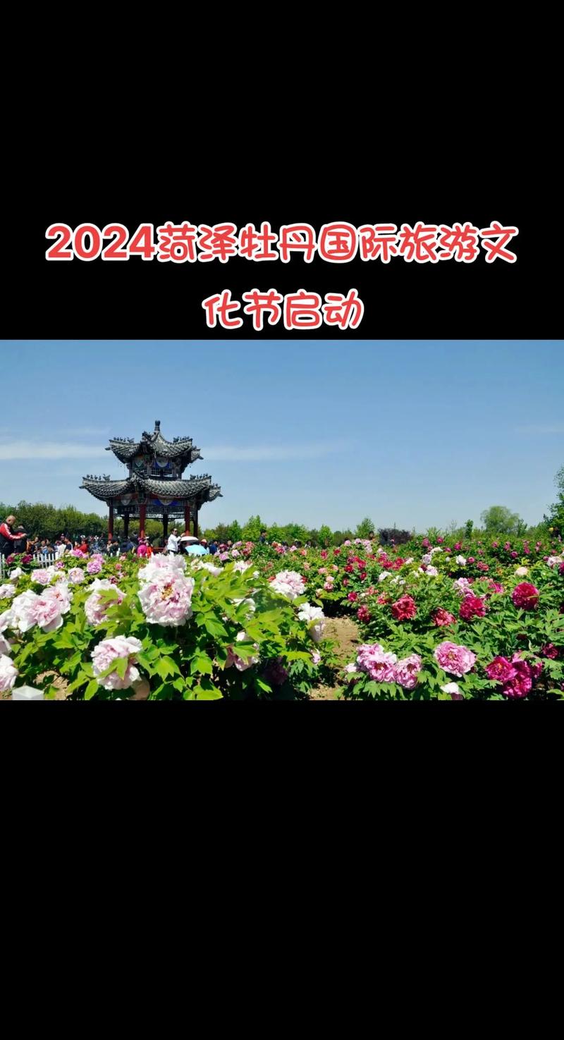 山东省菏泽市天气(山东省菏泽市天气定陶)-第2张图片-文史 山东省菏泽市天气(山东省菏泽市天气定陶)-第2张图片-文史