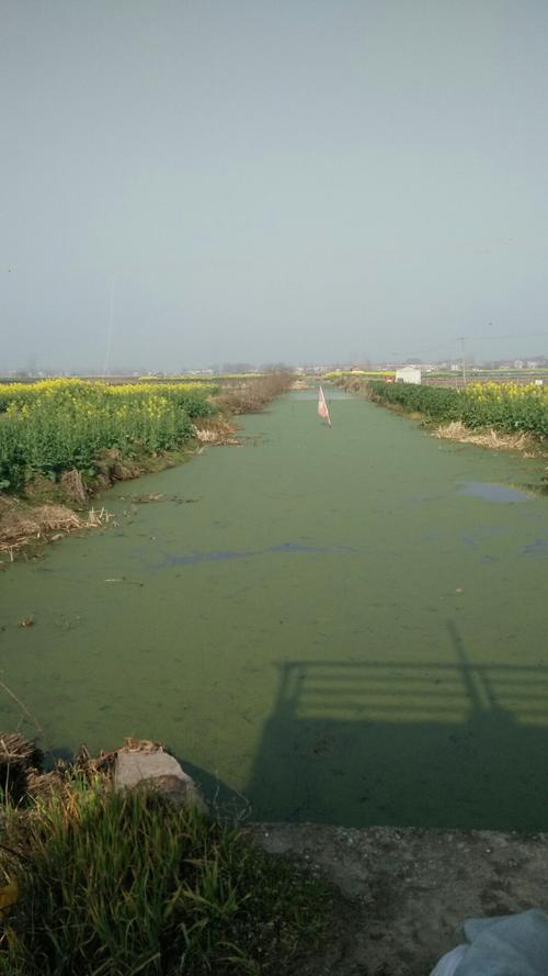 监利明天天气怎么样,监利明天天气怎么样?-第5张图片-文史