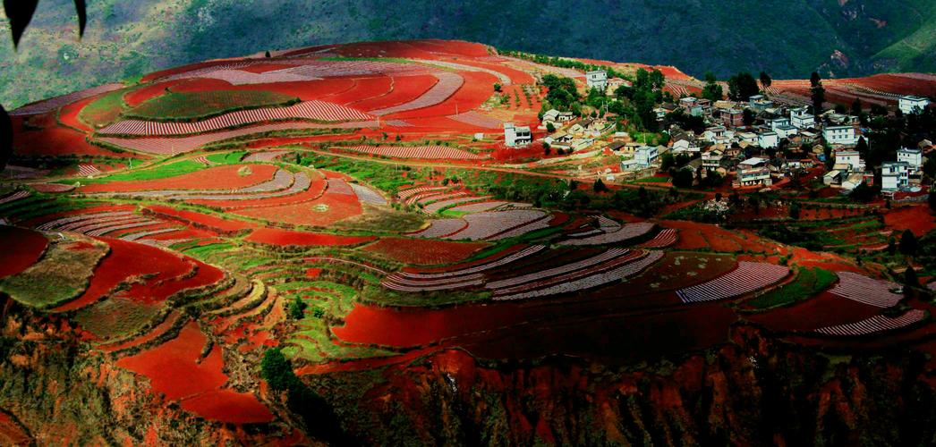 东川红土地今天天气,东川红土地明天天气预报-第3张图片-文史 东川红土地今天天气,东川红土地明天天气预报-第3张图片-文史