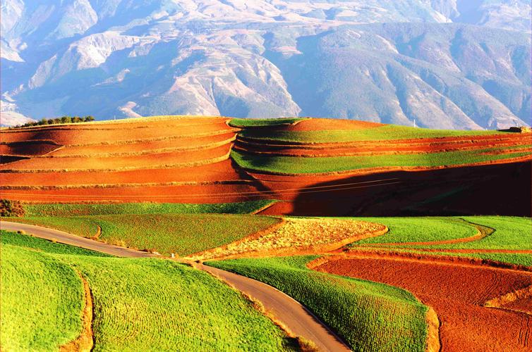 东川红土地今天天气,东川红土地明天天气预报-第5张图片-文史 东川红土地今天天气,东川红土地明天天气预报-第5张图片-文史