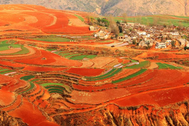 东川红土地今天天气,东川红土地明天天气预报-第7张图片-文史 东川红土地今天天气,东川红土地明天天气预报-第7张图片-文史