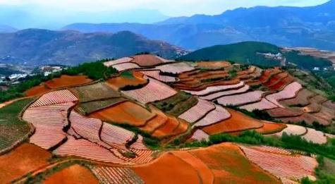 东川红土地今天天气,东川红土地明天天气预报-第8张图片-文史 东川红土地今天天气,东川红土地明天天气预报-第8张图片-文史