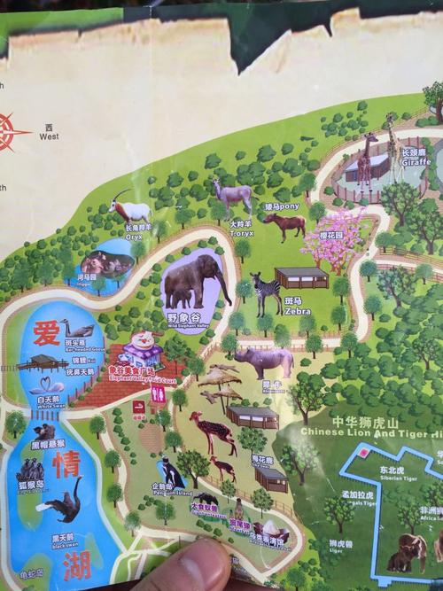 深圳市野生动物园攻略,深圳野生动物园 攻略-第3张图片-文史 深圳市野生动物园攻略,深圳野生动物园 攻略-第3张图片-文史