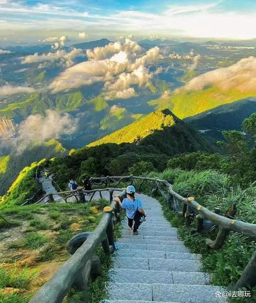 深圳旅游必去的地方(深圳旅游地点推荐)-第7张图片-文史 深圳旅游必去的地方(深圳旅游地点推荐)-第7张图片-文史