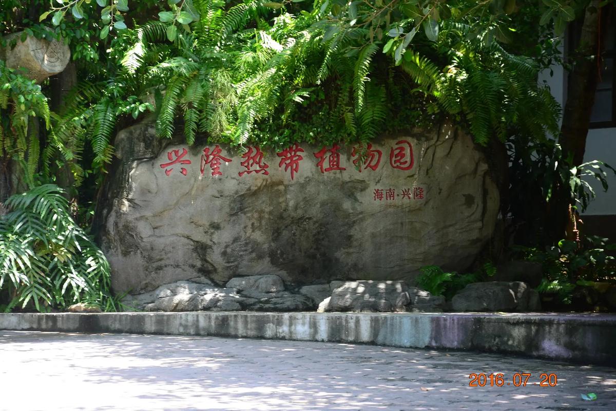 万宁兴隆天气预报（万宁兴隆天气预报最新7天）