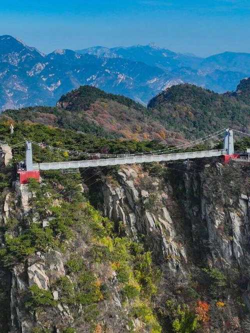 山东有什么好玩的地方(山东旅游攻略最全比较好的线路)-第5张图片-文史 山东有什么好玩的地方(山东旅游攻略最全比较好的线路)-第5张图片-文史