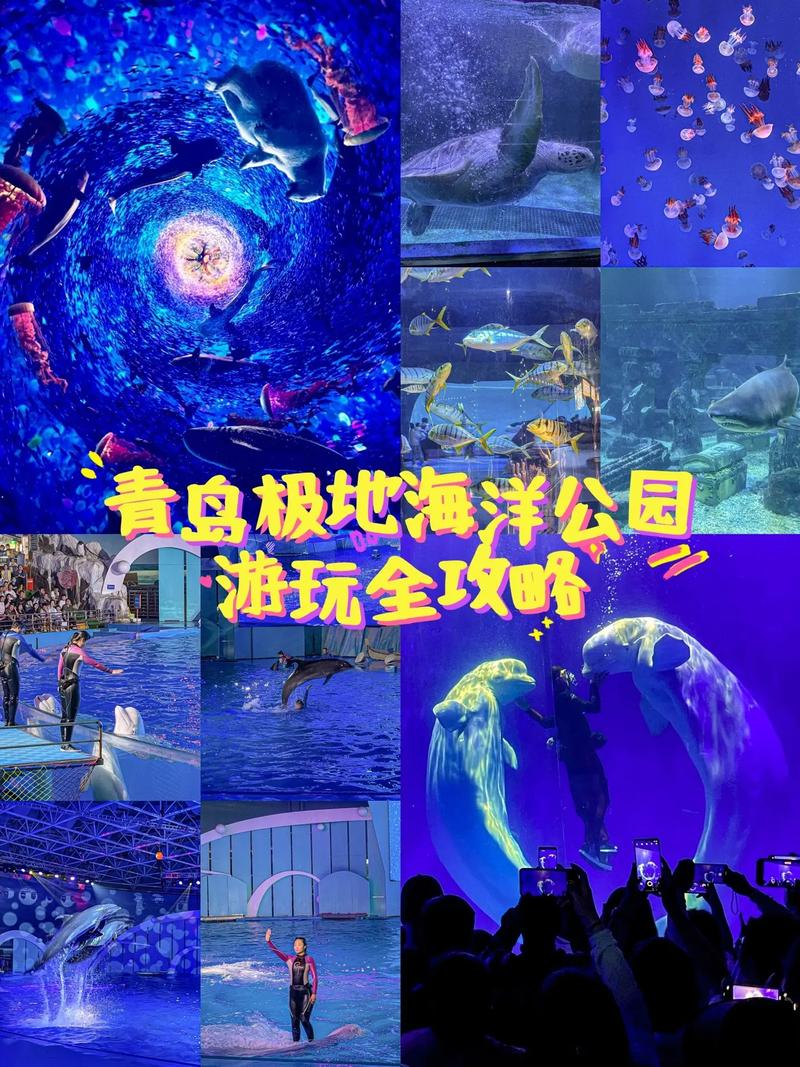 青岛海底世界和极地海洋世界哪个好玩(青岛海底世界和极地海洋世界有什么区区别)-第1张图片-文史 青岛海底世界和极地海洋世界哪个好玩(青岛海底世界和极地海洋世界有什么区区别)-第1张图片-文史