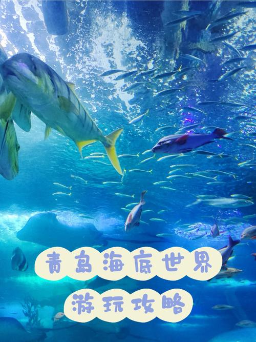 青岛海底世界和极地海洋世界哪个好玩(青岛海底世界和极地海洋世界有什么区区别)-第2张图片-文史 青岛海底世界和极地海洋世界哪个好玩(青岛海底世界和极地海洋世界有什么区区别)-第2张图片-文史