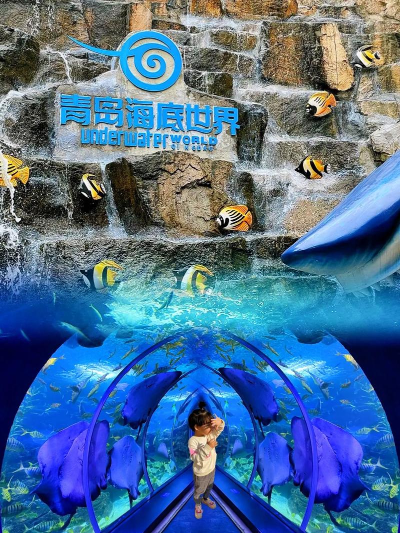 青岛海底世界和极地海洋世界哪个好玩(青岛海底世界和极地海洋世界有什么区区别)-第4张图片-文史 青岛海底世界和极地海洋世界哪个好玩(青岛海底世界和极地海洋世界有什么区区别)-第4张图片-文史