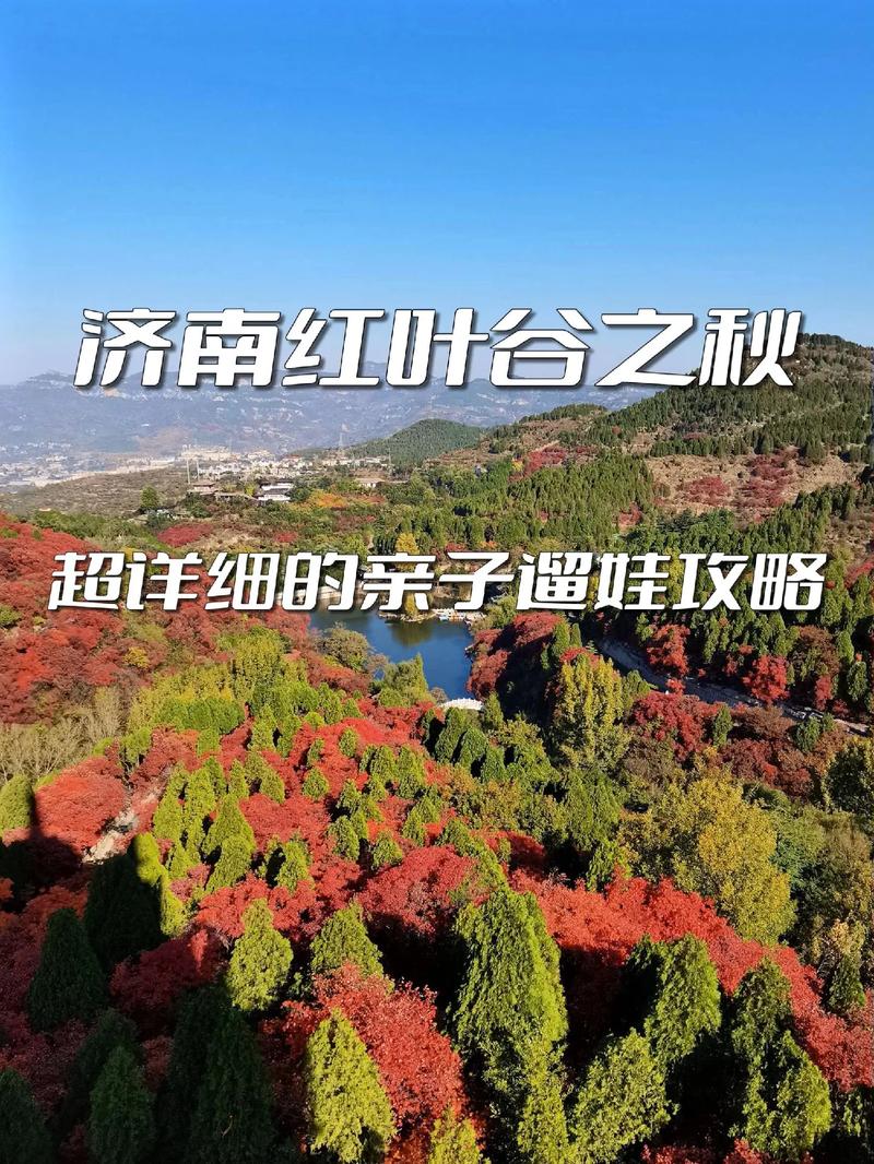 红叶谷门票多少钱一张,济南红叶谷门票多少钱一张-第7张图片-文史 红叶谷门票多少钱一张,济南红叶谷门票多少钱一张-第7张图片-文史