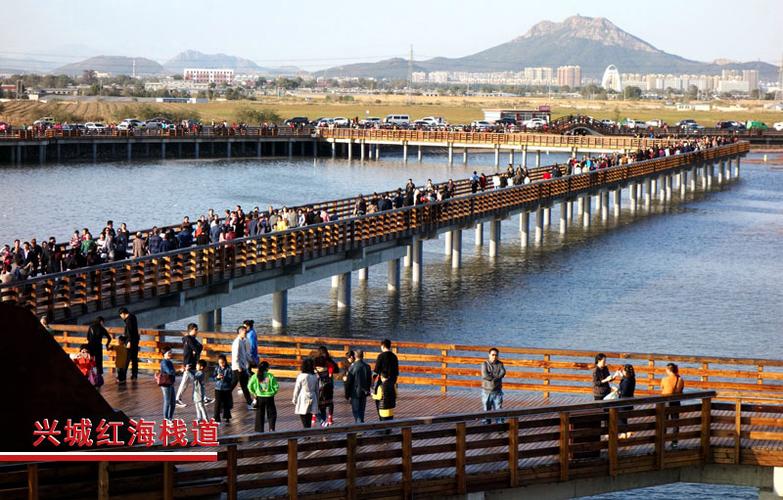 兴城海边哪里比较好,兴城海边住宿哪里好-第8张图片-文史 兴城海边哪里比较好,兴城海边住宿哪里好-第8张图片-文史