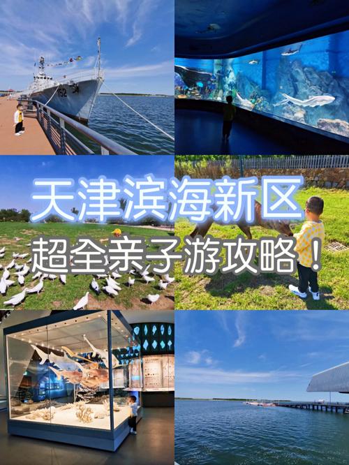 天津塘沽区天气预报,天津塘沽区天气预报7天-第2张图片-文史 天津塘沽区天气预报,天津塘沽区天气预报7天-第2张图片-文史