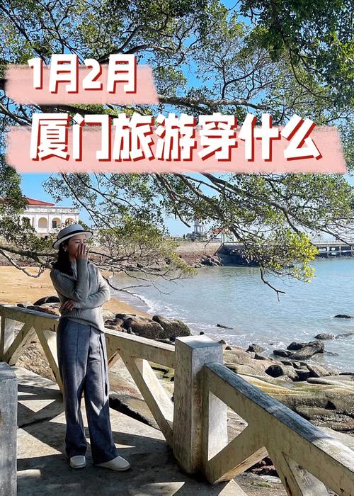 厦门集美天气天气(厦门集美地区天气预报)-第6张图片-文史 厦门集美天气天气(厦门集美地区天气预报)-第6张图片-文史
