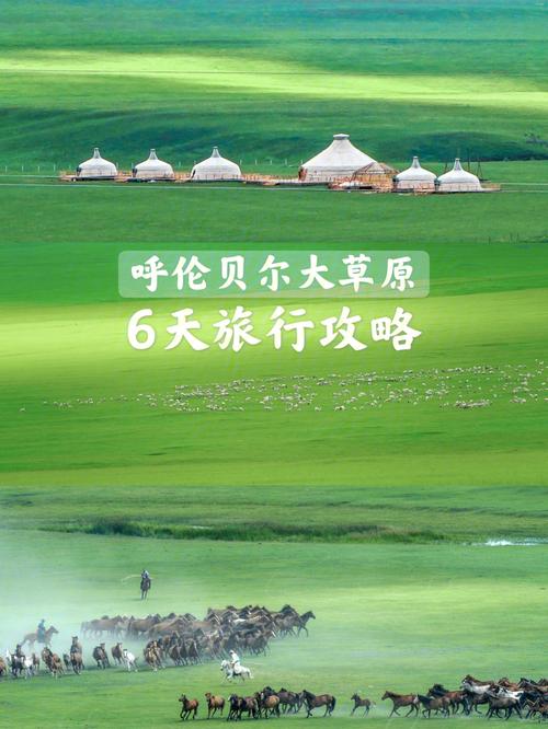 红原大草原几月份去好,红原大草原哪里好玩-第3张图片-文史 红原大草原几月份去好,红原大草原哪里好玩-第3张图片-文史