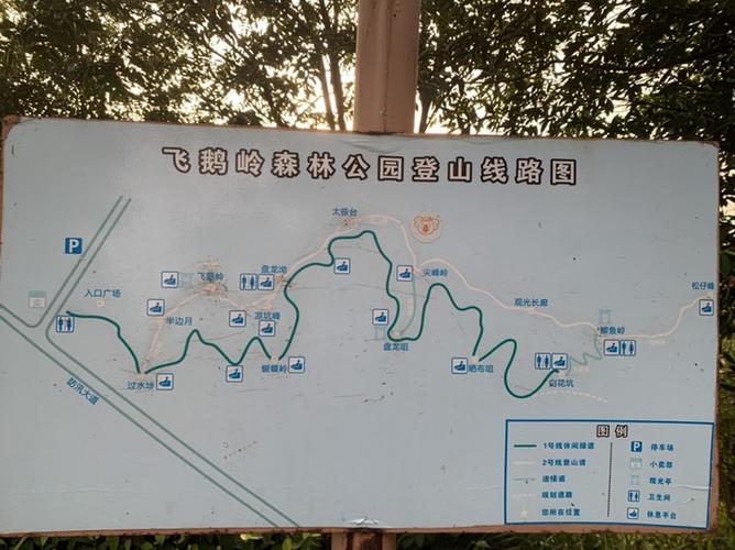 四会天气预报30天,四会天气预报30天最新消息