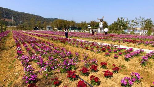 四会天气预报30天,四会天气预报30天最新消息-第3张图片-文史