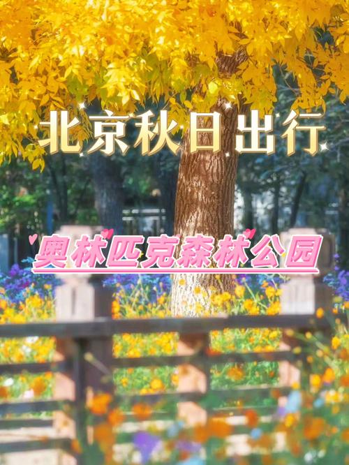 奥林匹克公园预约门票(奥林匹克公园预约门票怎么退)-第1张图片-文史 奥林匹克公园预约门票(奥林匹克公园预约门票怎么退)-第1张图片-文史