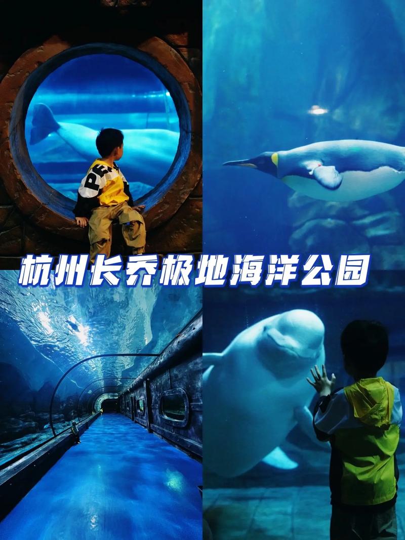 杭州长桥极地海洋公园（杭州长桥极地海洋公园买票）