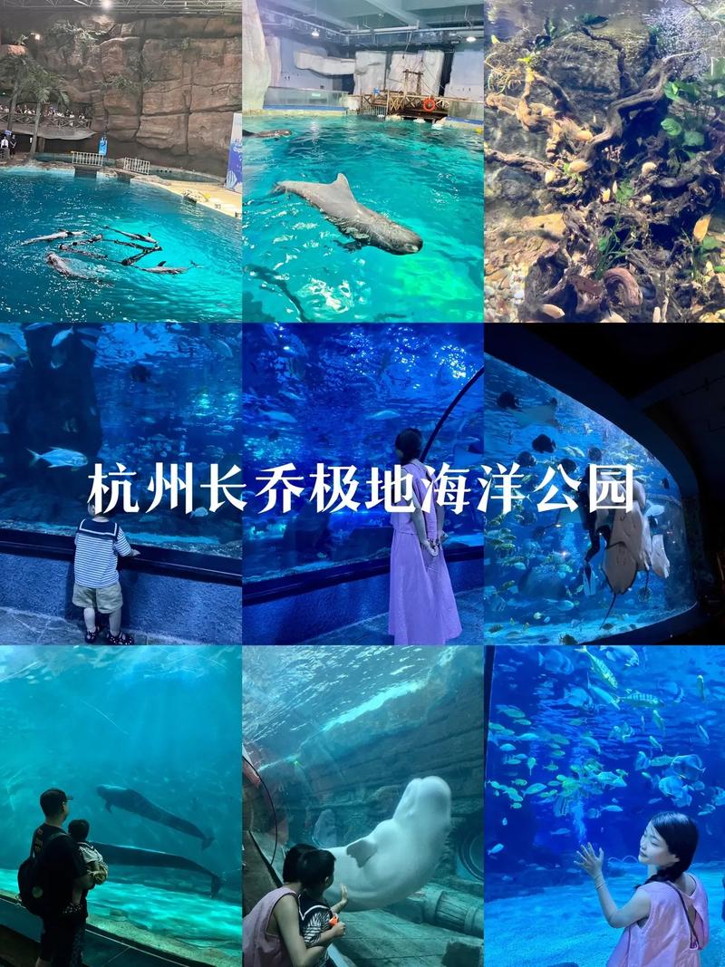 杭州长桥极地海洋公园（杭州长桥极地海洋公园买票）-第7张图片-文史