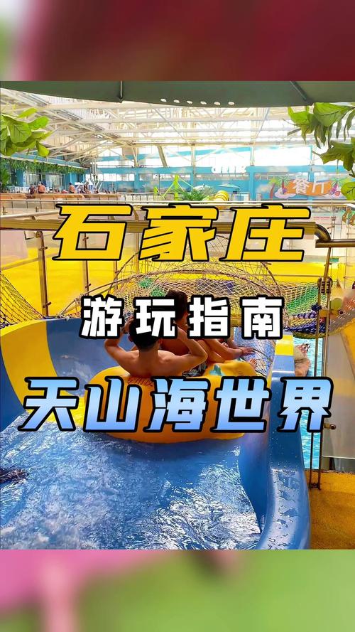 天山海世界,天山海世界电话-第7张图片-文史 天山海世界,天山海世界电话-第7张图片-文史